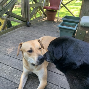 Fundraising Page: Christopher Puff